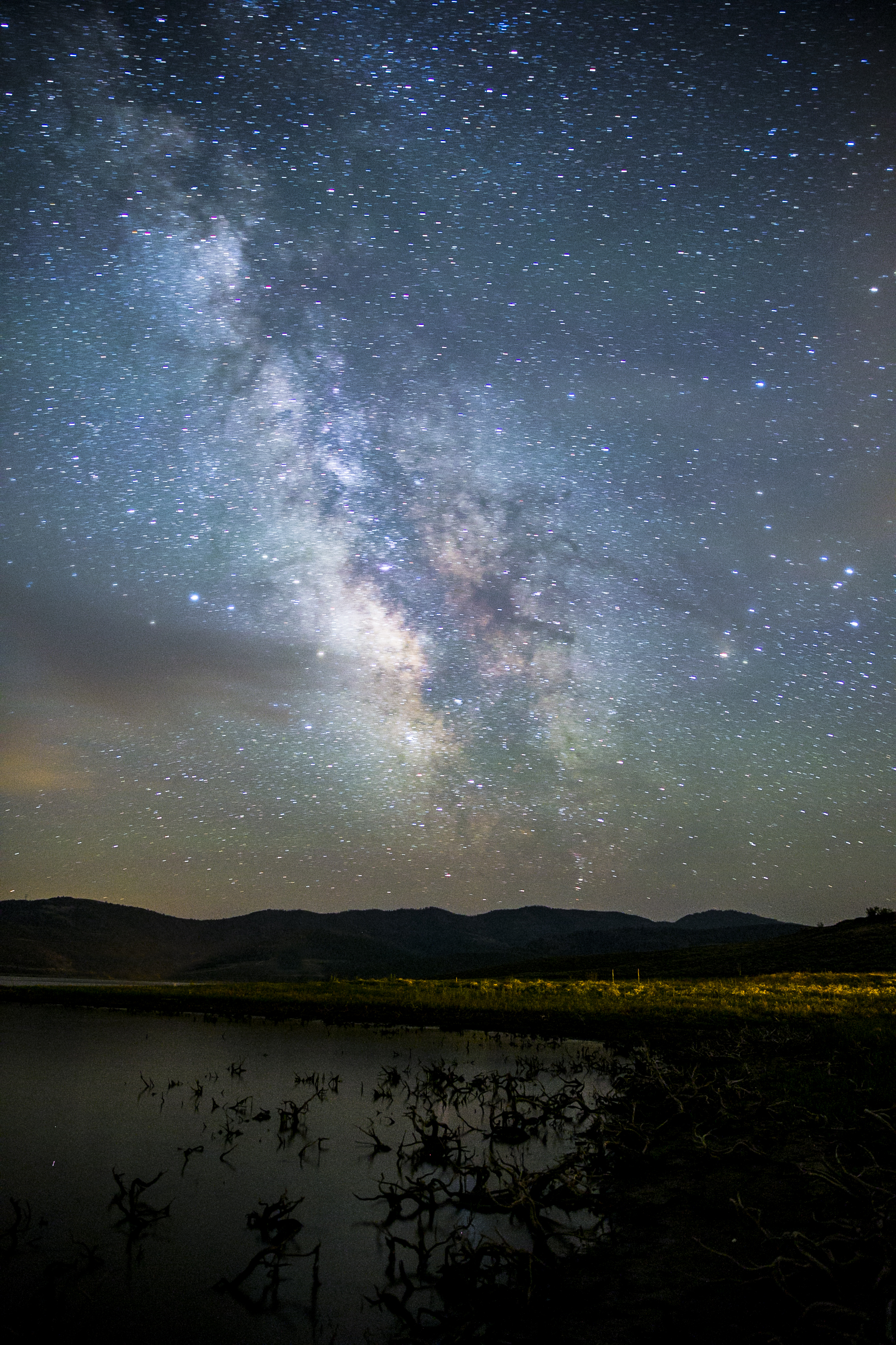 Night sky astrophotography of the Milky Way galaxy over a silhouette of trees.